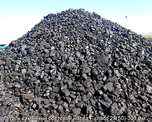 Уголь каменный сортовой марки Г класса 25 (50)-300 мм